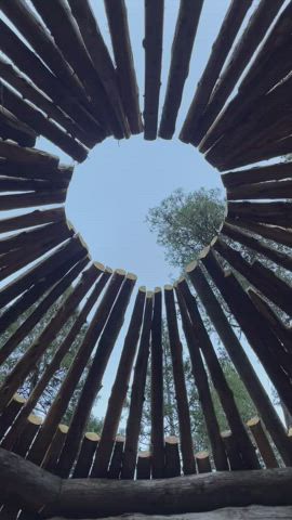 Amateur butt ass Spread asshole Bending Over Fansly Funny Porn OnlyFans r/NSFWFunny Porn GIF