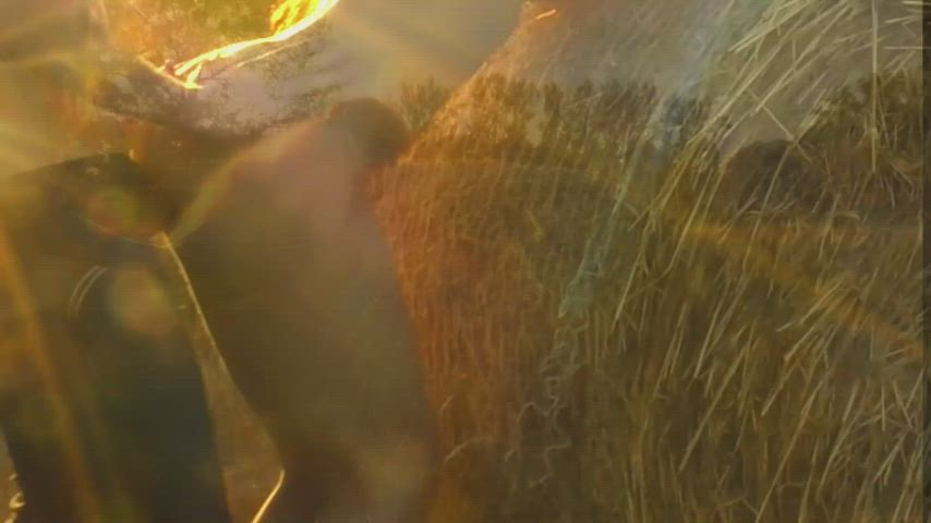 Exhibitionism Fuck Machine Hardcore OnlyFans Public ginger head Squirt Squirting Porn GIF