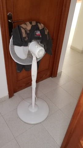 Amateur bj Freeuse Geek Glasses Hotwife Naked Nerd Real couple Porn GIF