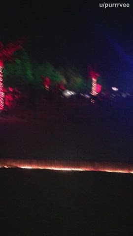 Amateur Exhibitionism Exhibitionist Exposed Festival Flashing bushy cunt Masturbating Outdoor Public Porn GIF