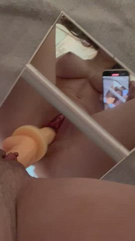 Australian Mirror pussy Squirting Porn GIF