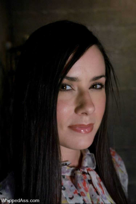 Bbc Anal Gape Download Video Hood Hoppin 3 Scene 4 Anal